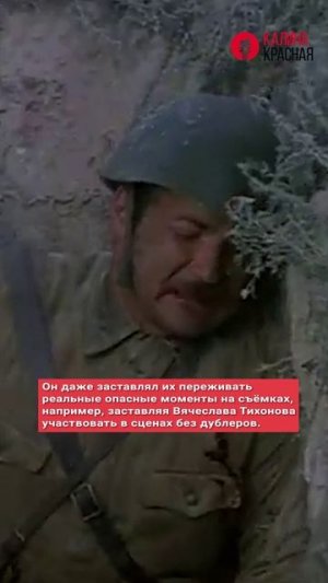 Интересные факты о фильме «Они сражались за Родину»!