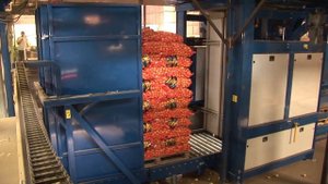 Автоматический палетайзер Verbruggen VPM 14, укладка лука в сетках по 25 кг