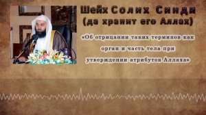 Об отрицании таких терминов как органы и части тела Аллаха - Шейх Салих ас-Синди