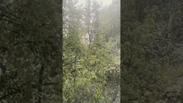 Russian winter on May 15 (2024) in Moscow