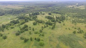 Заброшенная деревня Ларенцы 04.07.2020 Богородский район, Кировская область