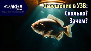 Для чего освещение в УЗВ #осетр #рыба  #узв