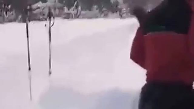 Встреча в лесу. смотреть онлайн