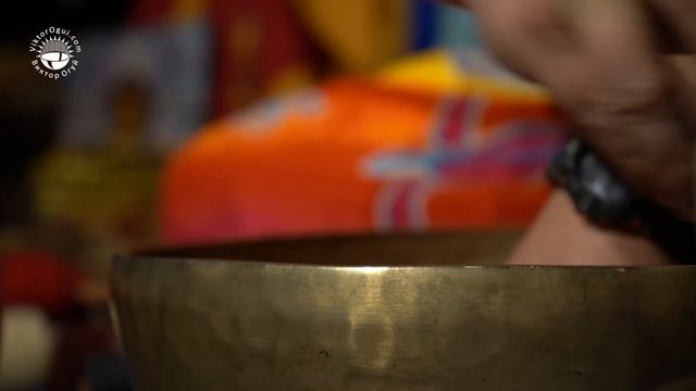 Презентация курса смотреть онлайн