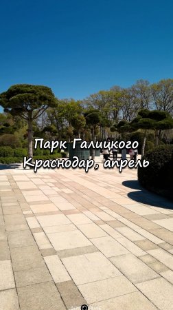 Парк Галицкого, Краснодар. 19 апреля 2025