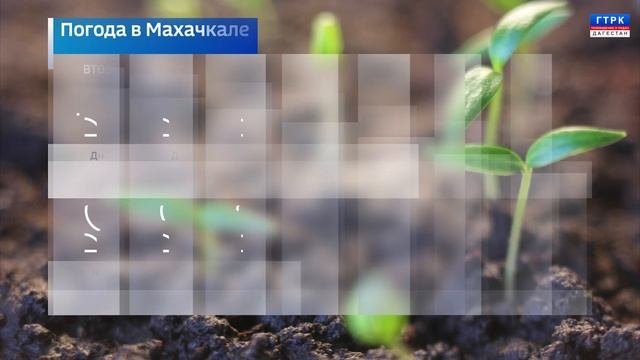 КНВ на даргинском языке   22.04.25