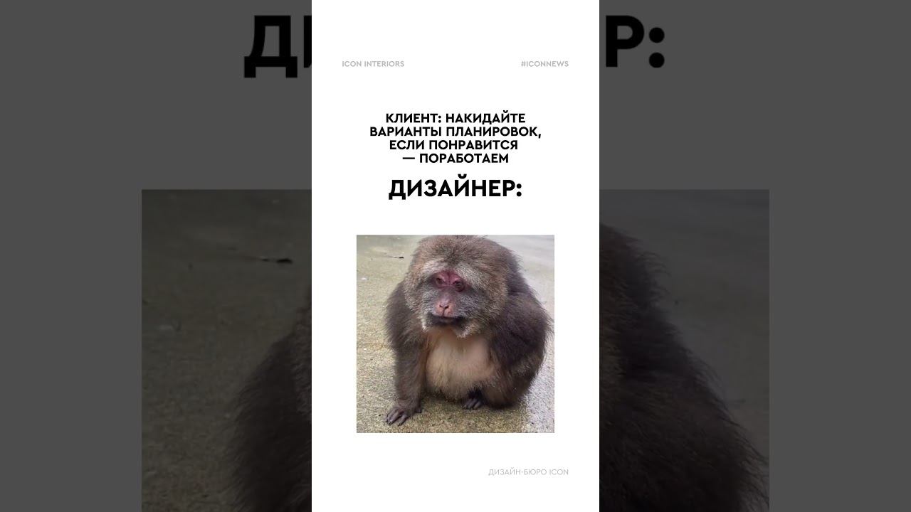 Улыбка сквозь слезы #дизайнер #ремонт #дизайнеринтерьера #дизайнинтерьера смотреть онлайн