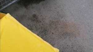 Как я зарабатываю лазая по мусоркам Питера? Dumpster Diving