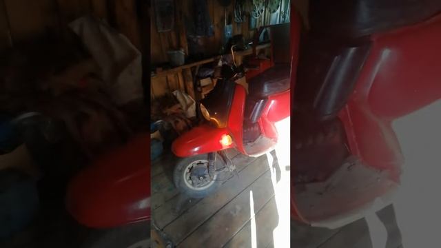 Отправить смотреть онлайн