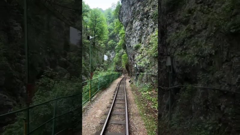 Узкоколейная дорога Гуамского ущелья  #туризм #travel #турыонлайн #туры  #тур  #mountains  #тревел