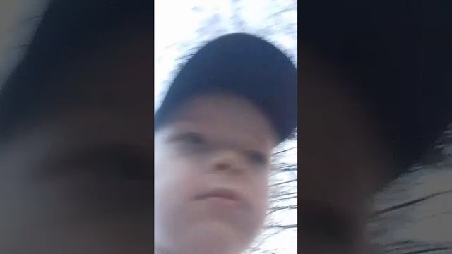 лес