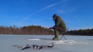 Рыбалка на Мормышку и Блесну. Закрываю Сезон