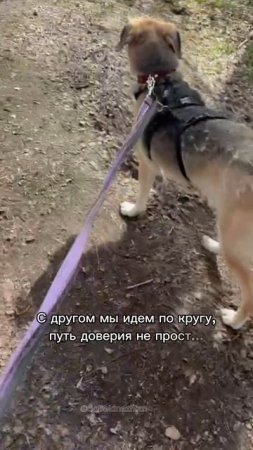 Большой невзрослый Тима