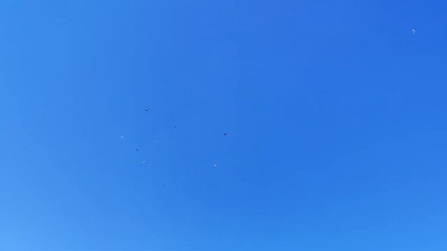 18.05.2024г Доброе утро, подьем молодняка Лениноканцев! смотреть онлайн