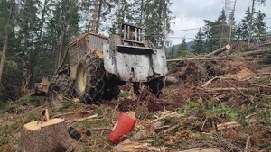 Skidder LKT 81