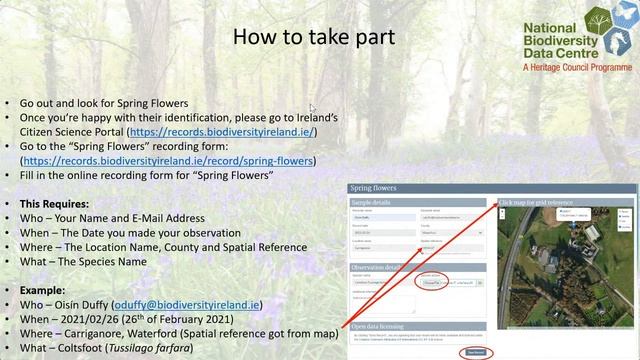 An Introduction to the Spring Flowering Plants Project online talk with Oisín Duffy