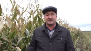 Агрофирма Аксубаевская