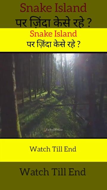 Snake Island पर कैसे ज़िंदा रहे?|How To Survive On Snake Island?|#short смотреть онлайн