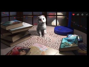 Предновогоднее видео с книжным котиком