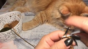 МК: Вяжем митенки с крышечками. Часть 2.