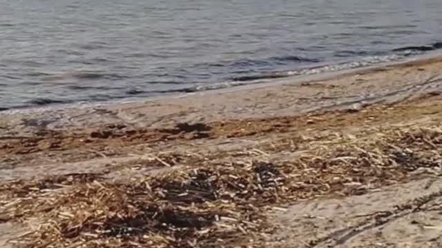 Приморскоахтарский район просмотр домов до миллиона часть2 смотреть онлайн