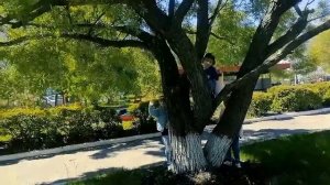 Группа "Винни Пух"