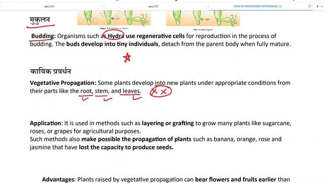 LECTURE - 27 | NCERT Biology Class 6-12 |70th BPSC |JPSC| UPPCS| #bpscconceptwallah #ncert #youtube