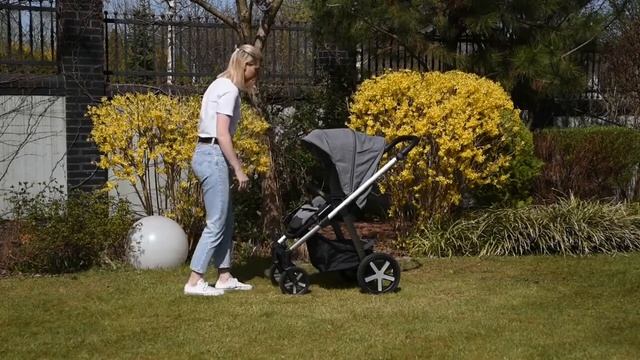 Baby Design Husky - видеообзор популярной коляски