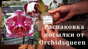 Распаковка Посылки От Orchidsqueen
