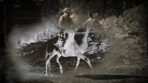 Баг RDO: При входе вылетает на рабочий стол