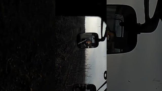 Обзор трактора. LOVOL 604 смотреть онлайн