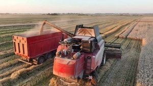 Комбайнеры в поле ! Рабочий процесс уборки зерна . #васькапилот