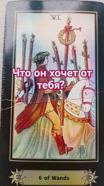 Что он хочет от тебя? #таро #ленорман #отношения