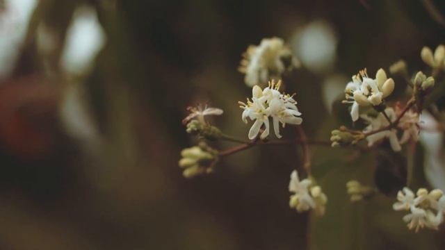 Дочь бизнесмена попросила бродягу забрать из роддома с двойней А когда нищий смотреть онлайн
