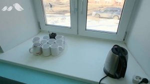 Большое интервью про программу Самоучка.