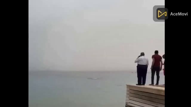 Shocking new shark attack on a Russian tourist in the Red Sea, Hurghada, Egypt, 06/08/2023 смотреть онлайн