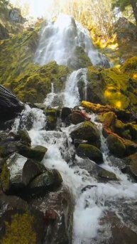 Величие природы: Водопад среди зелени 🌊🍃