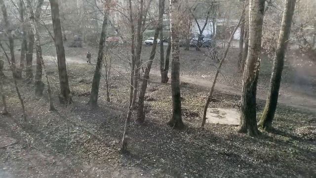 Лавочкина 52, незаконно уборка листвы 15.11.2019 смотреть онлайн