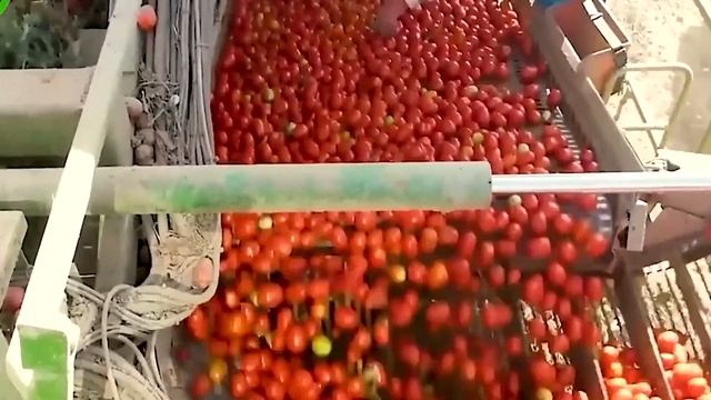Satisfying Videos 🔴 Modern Food Technology Processing Machines Another Level 26