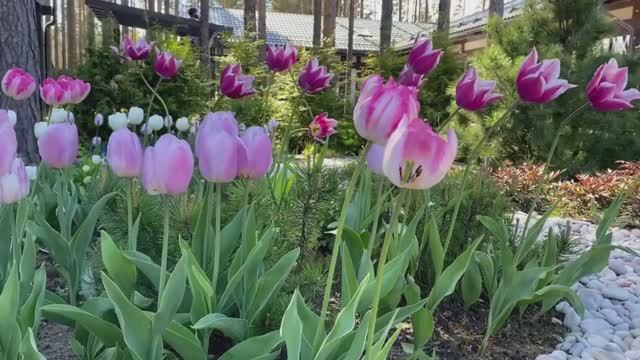 Видеосъемка для строительных компаний