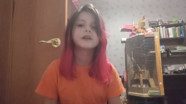 Уход за дегу смотреть онлайн