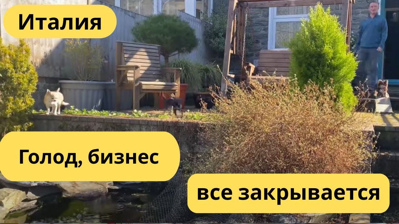 152. Жизнь в Италии, голод, бизнес, проблемы с первым сыном, все закрывается.