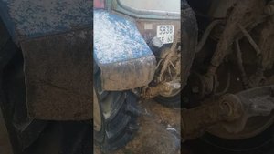 Резина Кама на мтз 82.