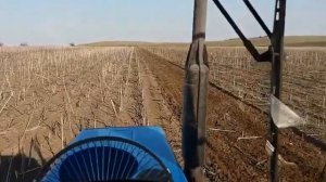 Трактор МТЗ 892 с БДФ 2,4 по стерне весной и трактор МТЗ 82.1 с БДТ 3,0 по палке