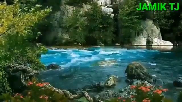 Бехтарин киссаи хазрати Сулаймон смотреть онлайн