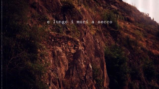 Sbizza e la Microrchestra - Mille inverni più di me смотреть онлайн