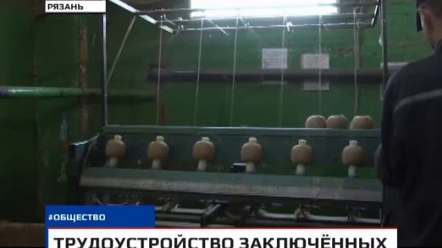 Новости Рязани 20 декабря 2017 (эфир 15:00) смотреть онлайн