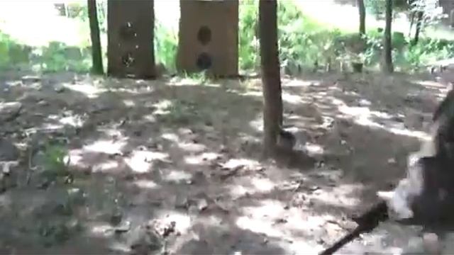 ยิงลูกซองไซก้าด้วยลูกสี่ยี่ห้อ(SAIGA-12 C) смотреть онлайн