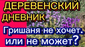 ДЕРЕВЕНСКИЙ ДНЕВНИК. "НЕХОЧУХА"