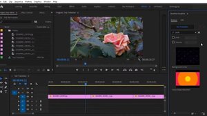 Circle Shape transition for Premiere Pro
